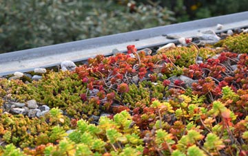 the cost of Leake green roof installation