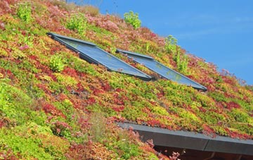 Leake living roof systems