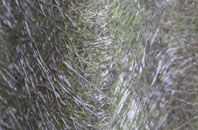 Leake fibreglass roof work