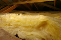 Leake pitch roof insulation