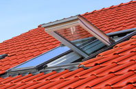 Leake roof window