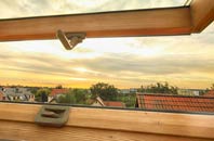 rated Leake roof window companies
